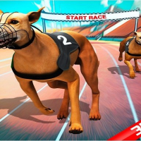 Crazy Dog Race